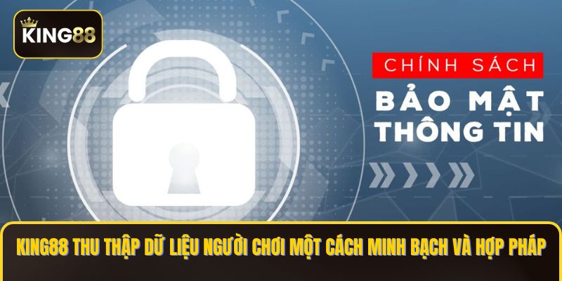 KING88 thu thập dữ liệu người chơi một cách minh bạch và hợp pháp